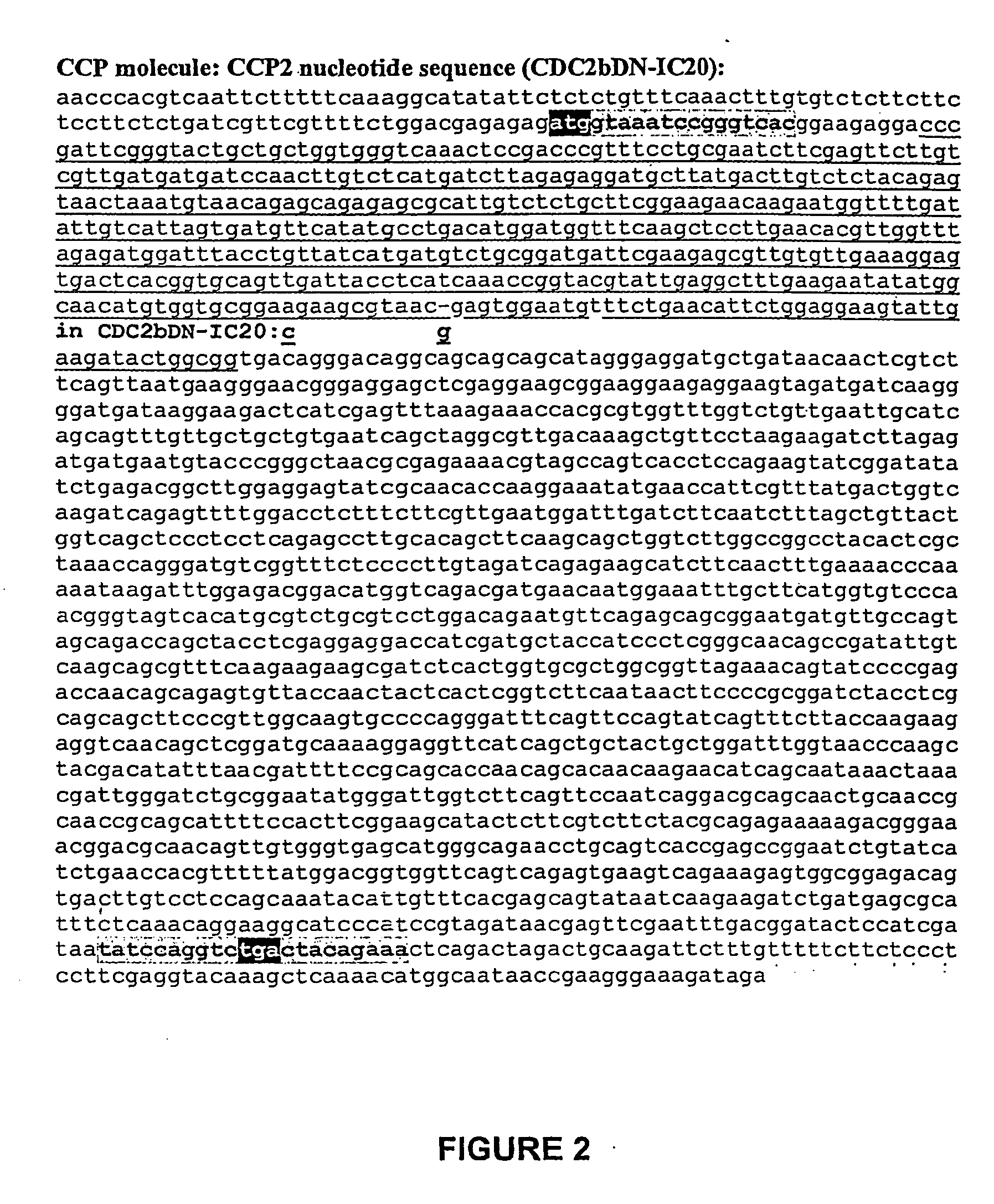 Nucleic Acid Molecules Encoding Plant Cell Cycle Proteins and Uses Therefor