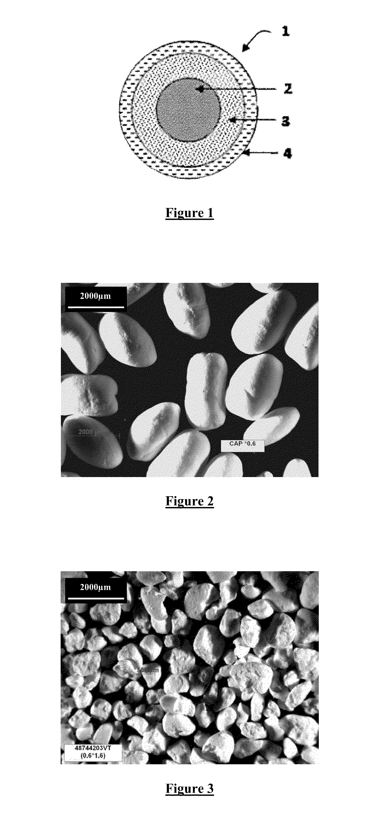 Controlled-release floating pharmaceutical compositions