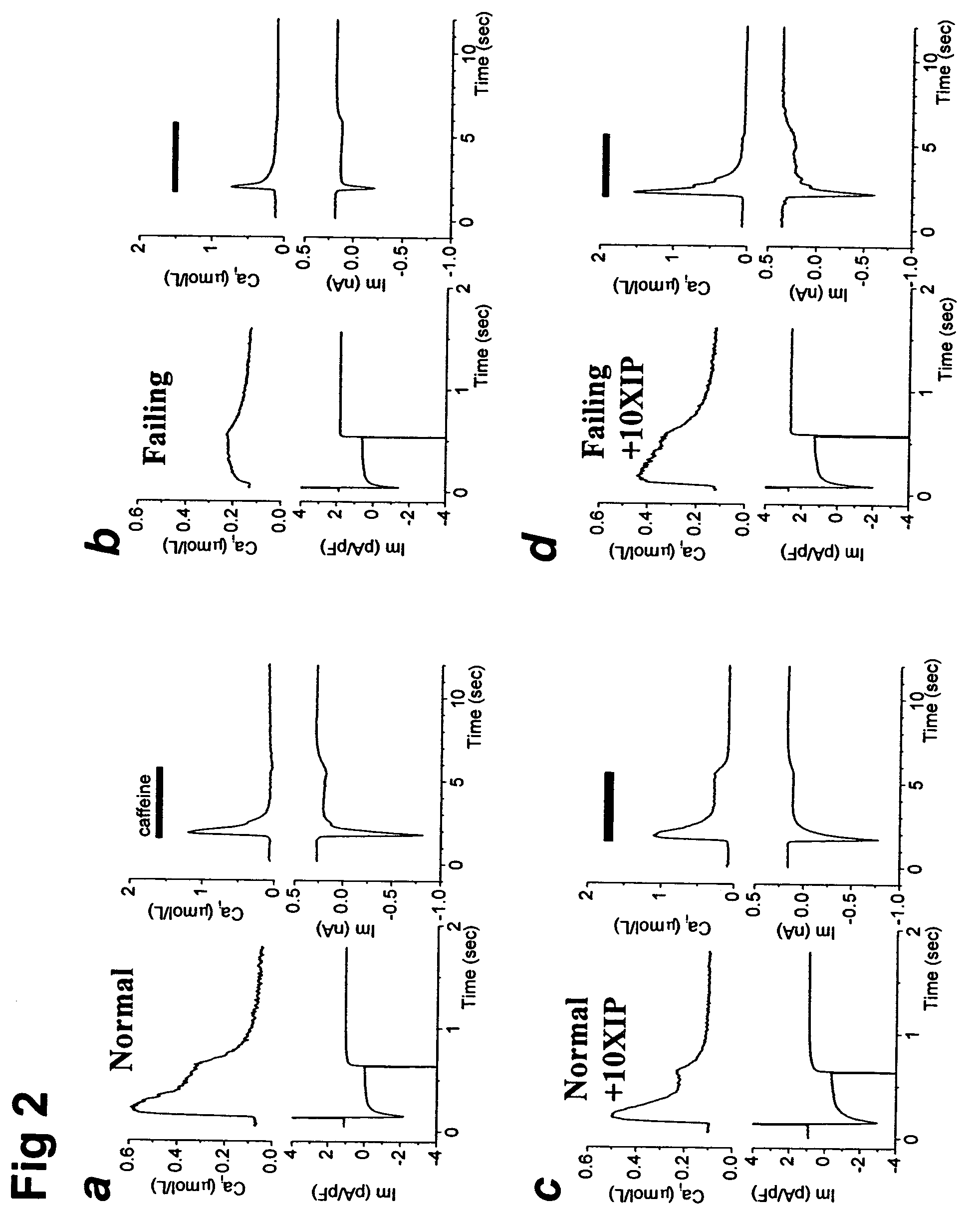 Method for treating heart failure by inhibiting the sarcolemmal sodium/calcium exchange