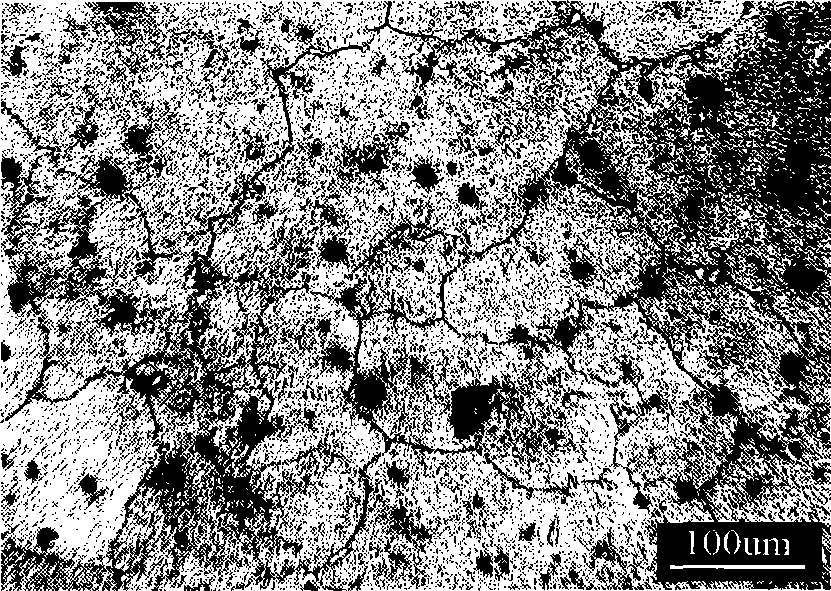 Temperature distortion resistant magnesium alloy containing Ca and Sr