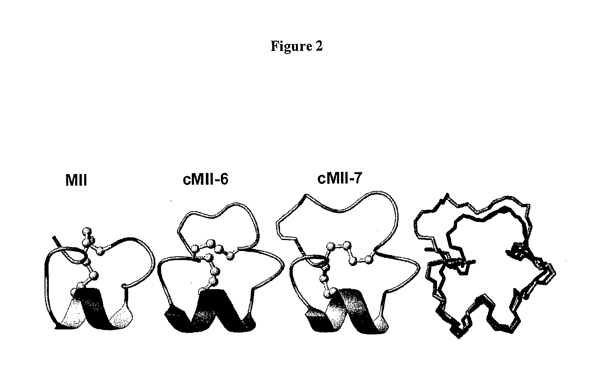 Cyclised alpha-conotoxin peptides