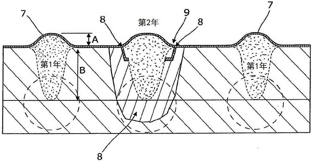 Strip tilling system