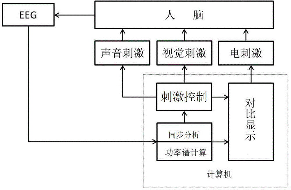 Electrocerebral co-frequency detection method, electrocerebral co-frequency stimulation method and device