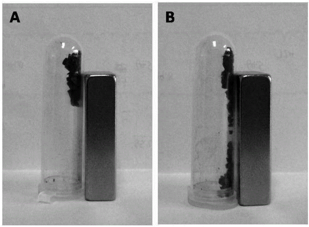 Preparation method of straight hole channel magnetic material