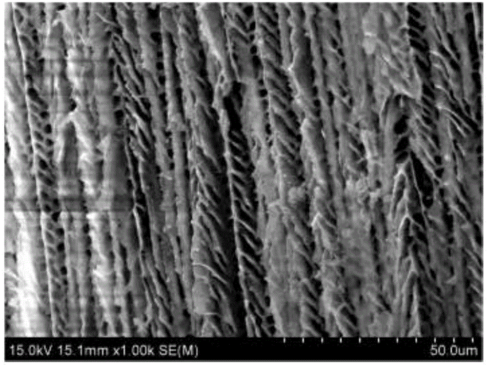 Preparation method of straight hole channel magnetic material