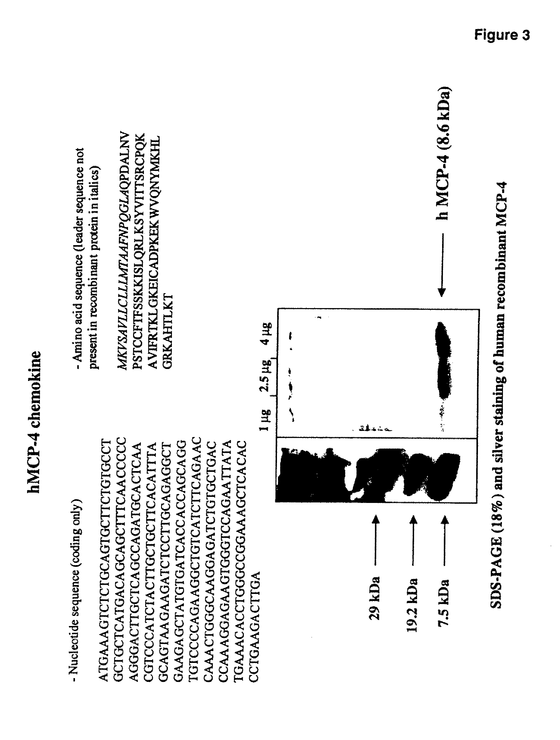 Chemokines as adjuvants of immune response