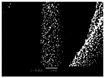 Cobalt-nickel bimetallic hydroxyl phosphite rod-like crystal array film and preparation method thereof