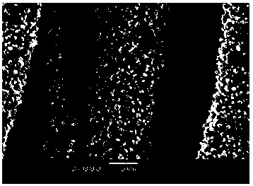 Cobalt-nickel bimetallic hydroxyl phosphite rod-like crystal array film and preparation method thereof