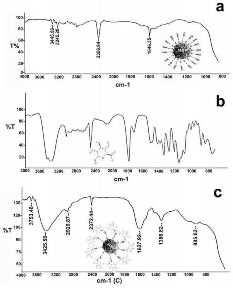 Method for purifying polygalacturonase by galacturonic acid magnetic nanoparticles