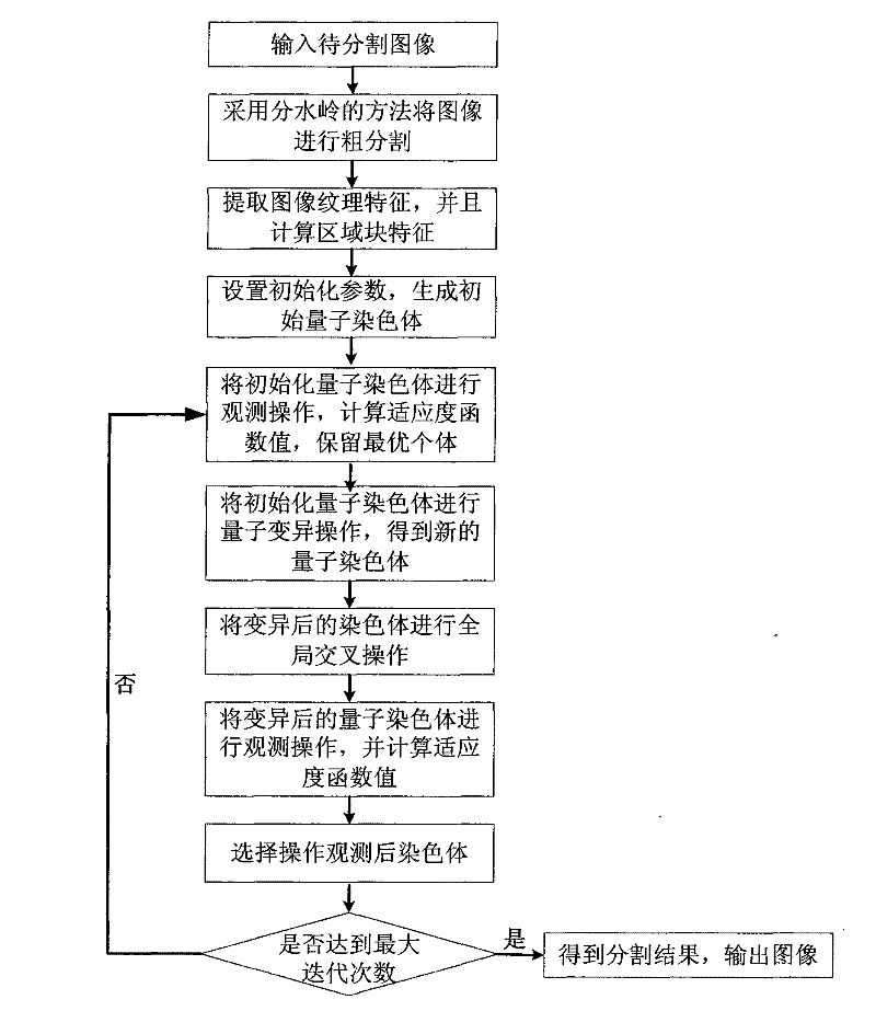 Image division method based on watershed-quantum evolution clustering algorithm