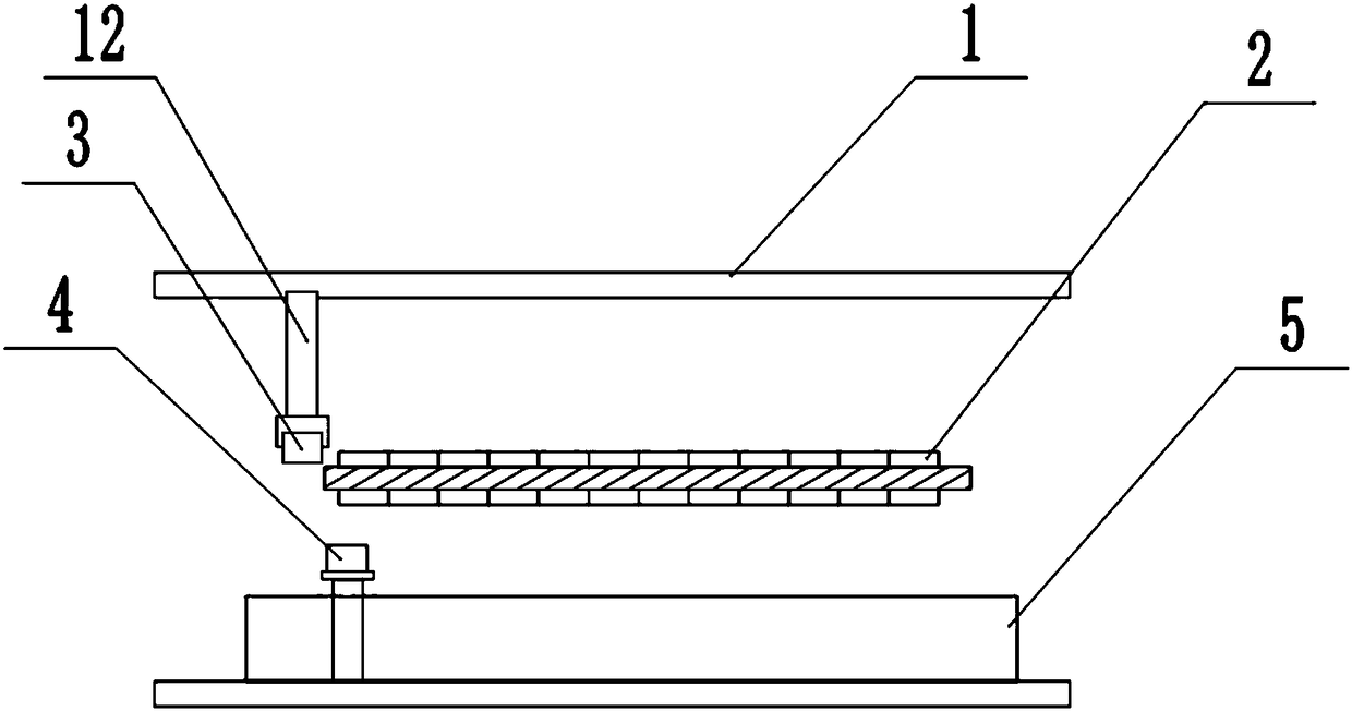 Cloth tentering and sizing device