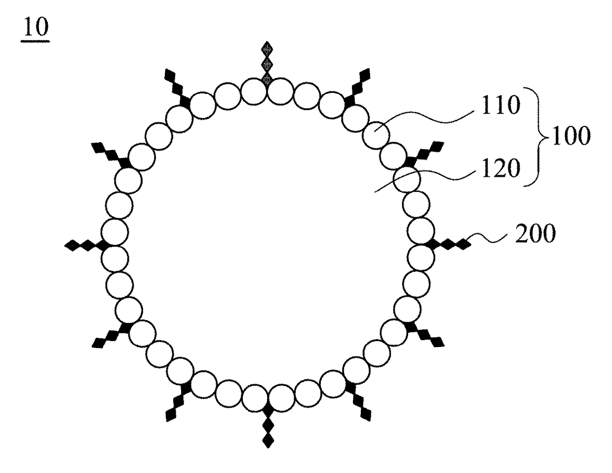 Modified albumin microbubble and method of making the same