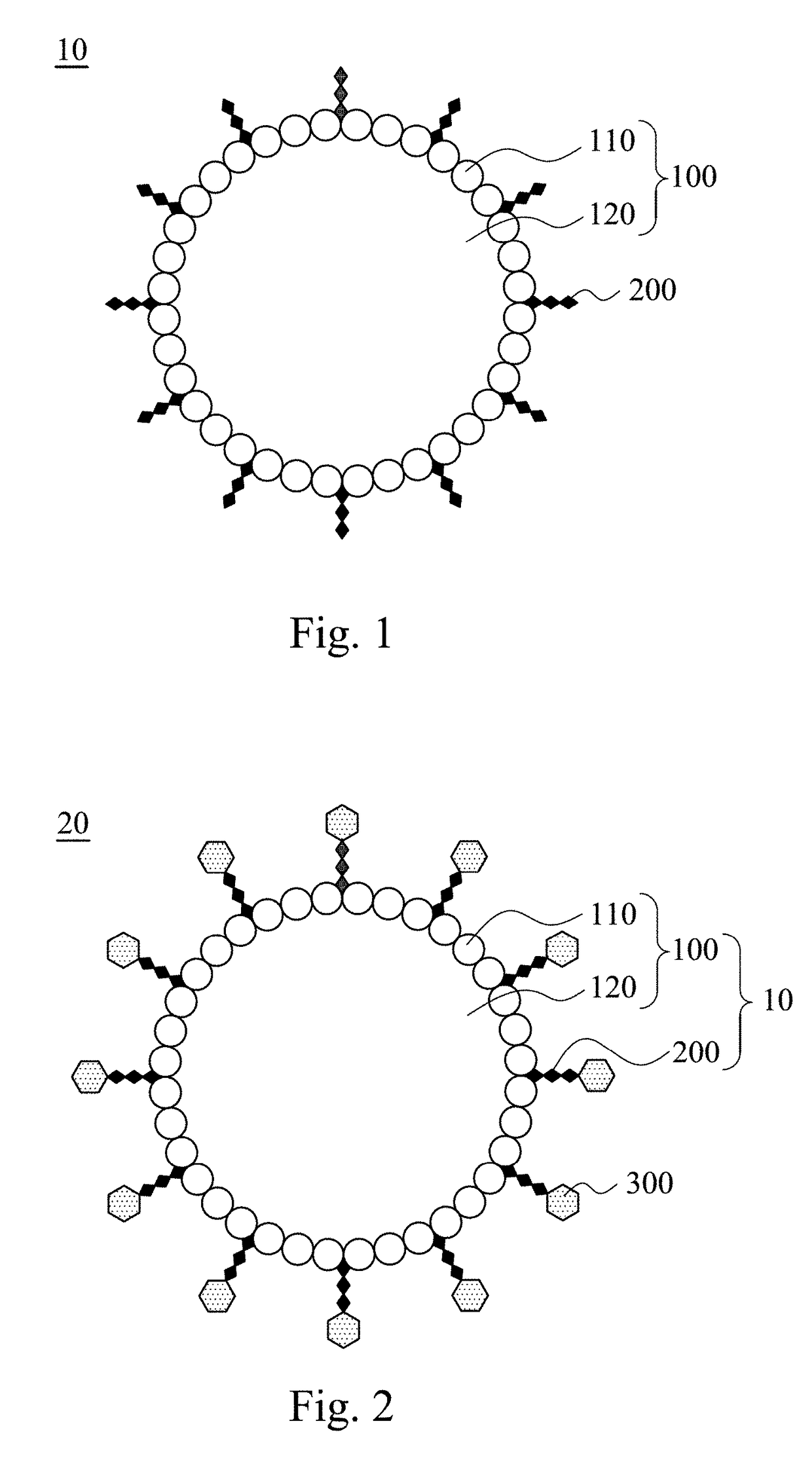 Modified albumin microbubble and method of making the same