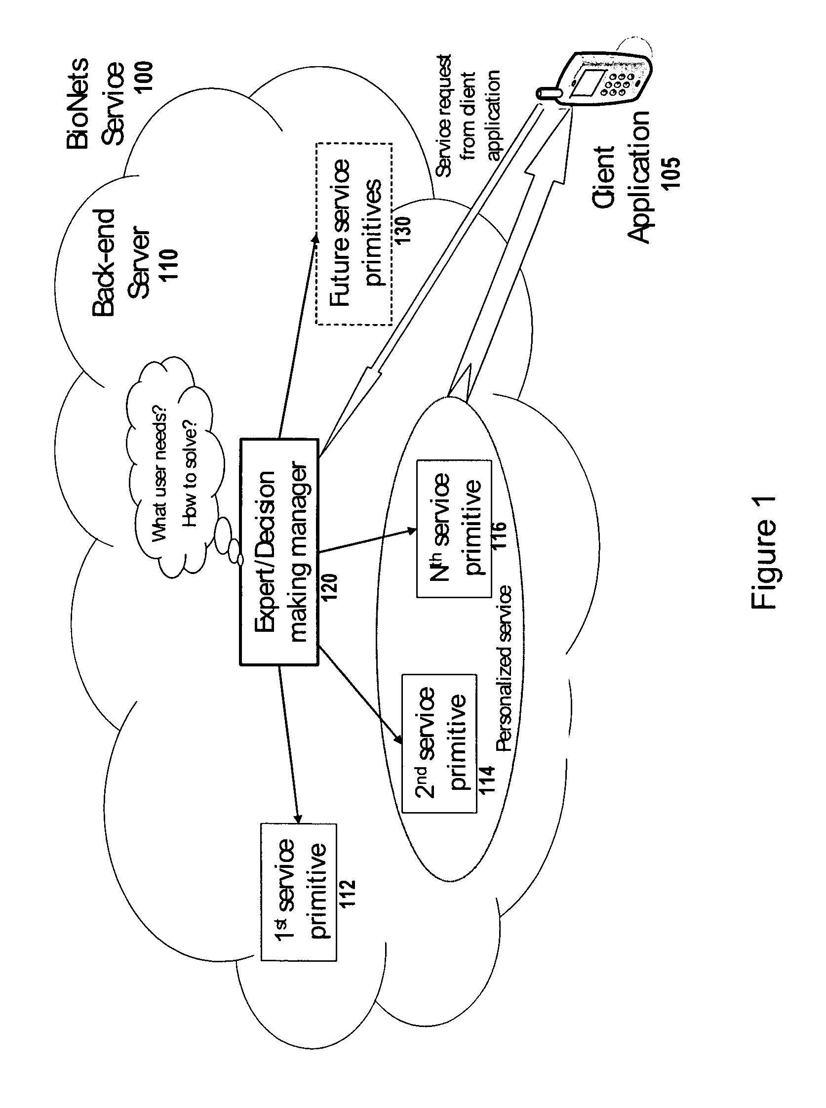 Bionets architecture for building services capable of self-evolution