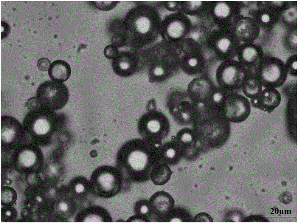 Core-shell double-layer microsphere employing poly(p-dioxanone) as core and preparation method and application of core-shell double-layer microsphere