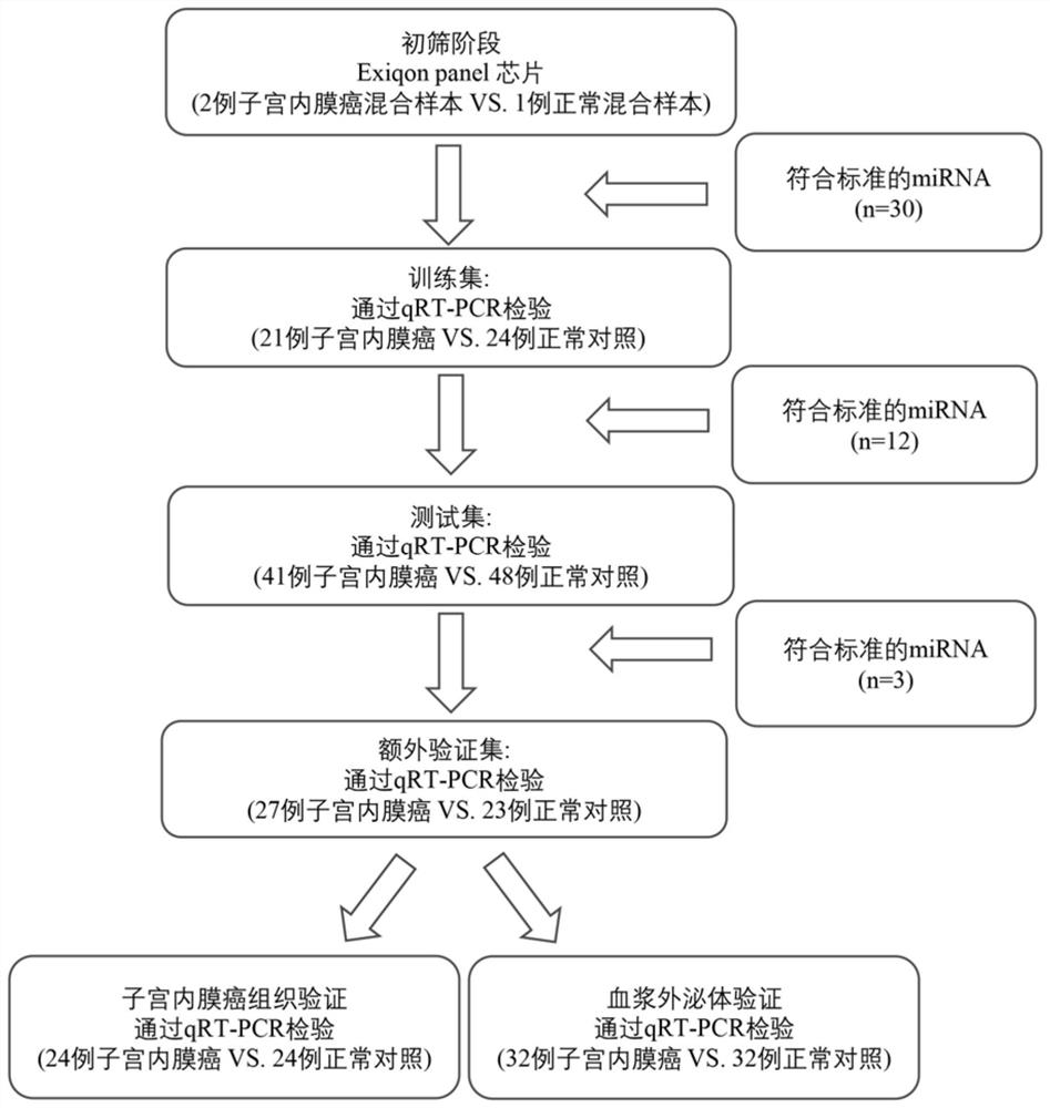 A circulating miRNA marker related to auxiliary diagnosis of endometrial cancer and its application