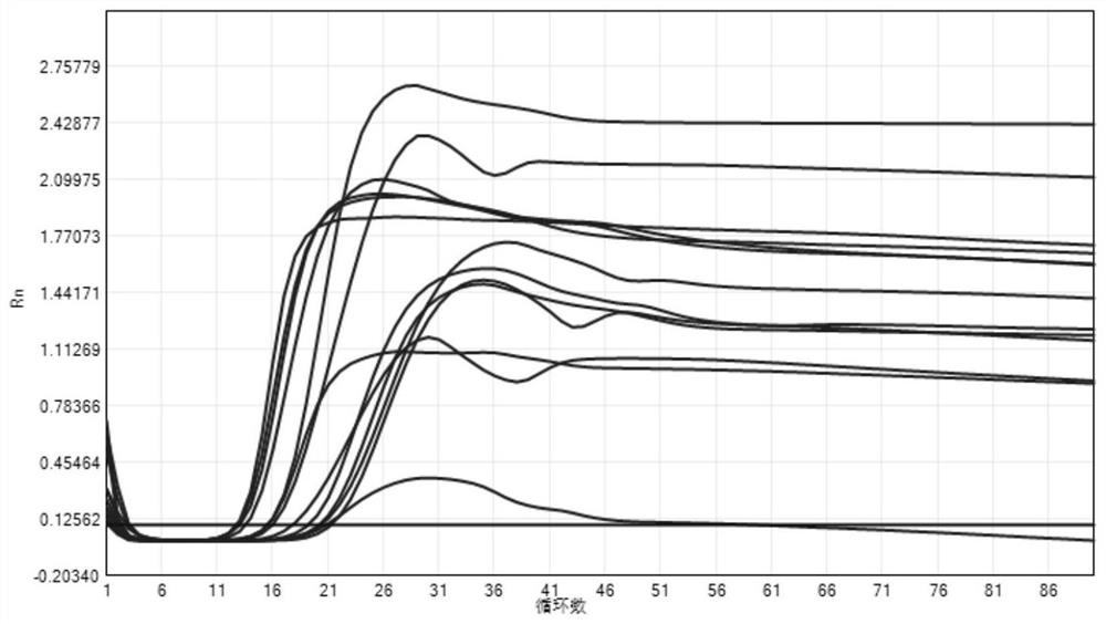 A method for rapid detection of nuclear polyhedrosis virus by lamp