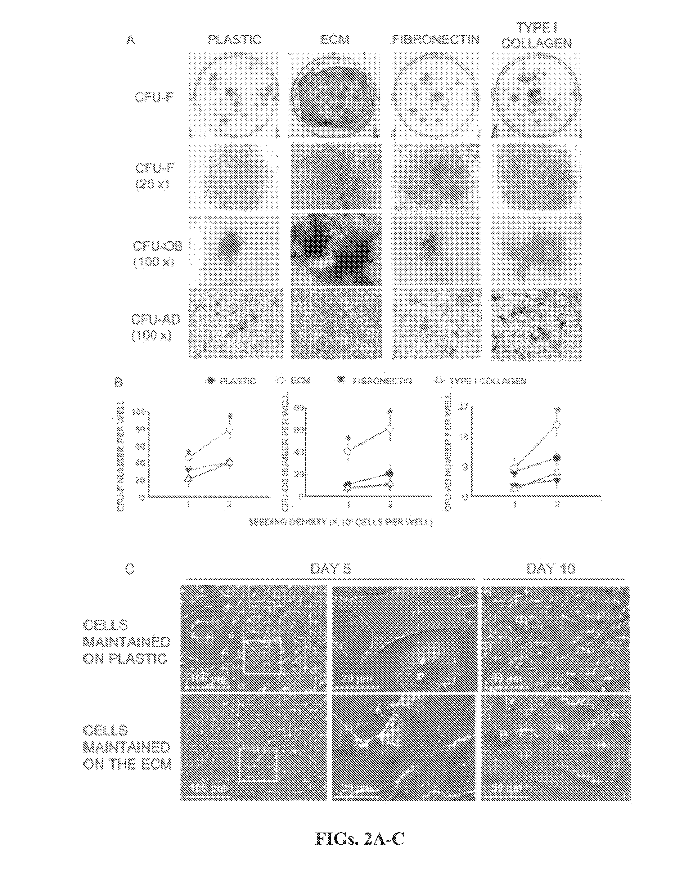 Tissue-specific differentiation matrices and uses thereof