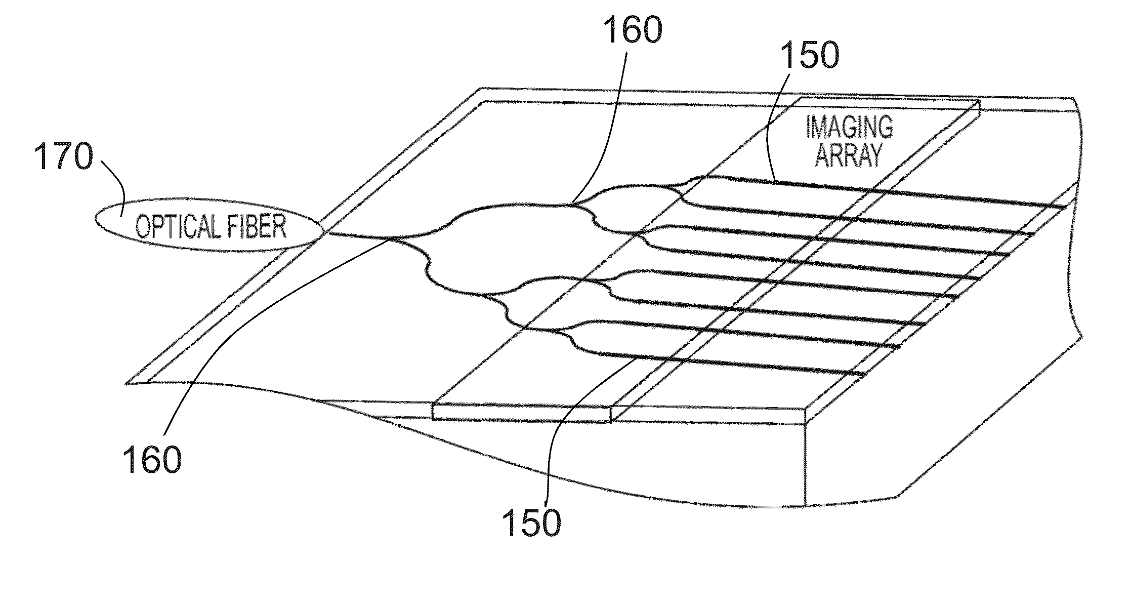 Integrated Nanobeam Cavity Array Spectrometer