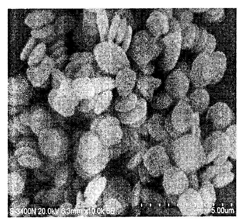 Wafer-like ferric phosphate, preparation method and application thereof