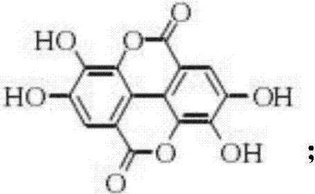 Pesticide composition for preventing and curing plant virus diseases and application of pesticide composition