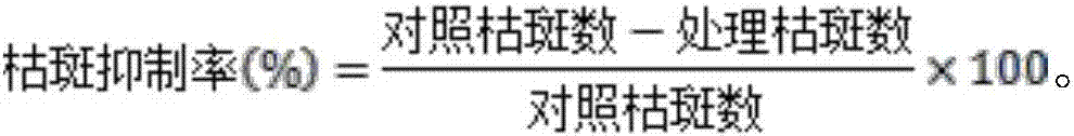 Pesticide composition for preventing and curing plant virus diseases and application of pesticide composition