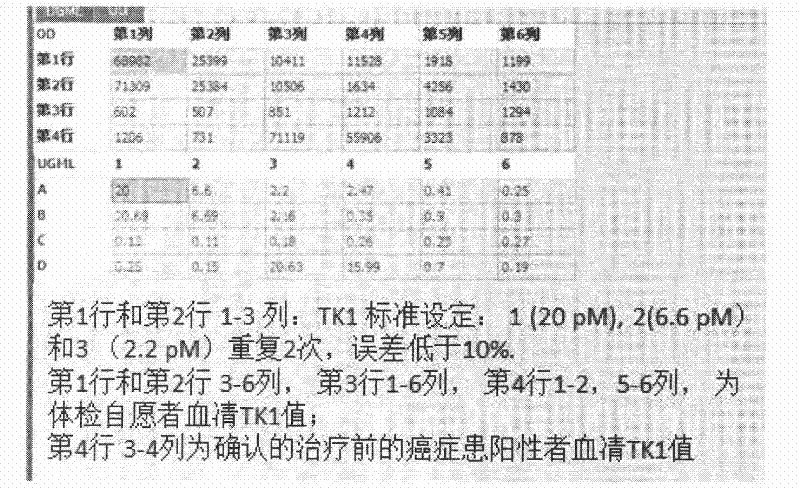 Preparation of multi-epitope TK-1 antibody, and application of multi-epitope TK-1 antibody in evaluating treatment effect on tumor patient