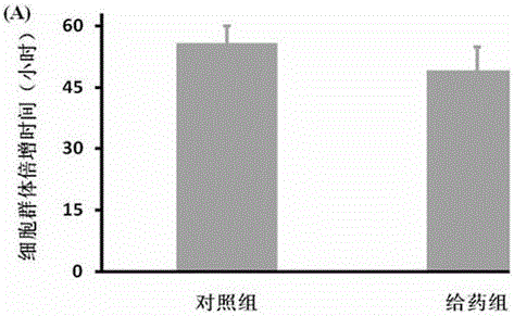 Method for promoting in-vitro expansion of human amniotic epithelial cells and use thereof