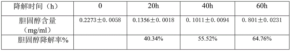 Flavored dry red wine and preparation method thereof