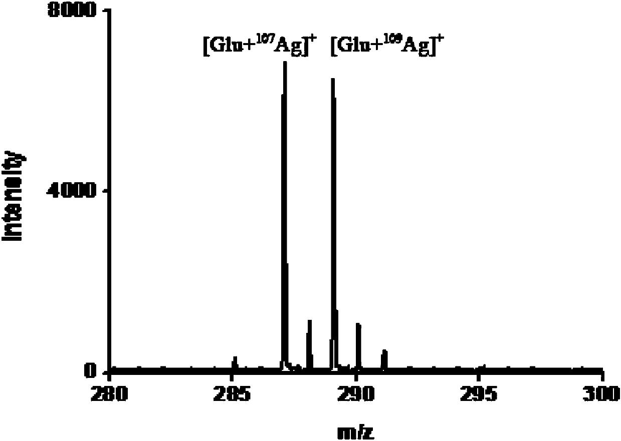 Matrix, preparation method thereof and biological sample testing method