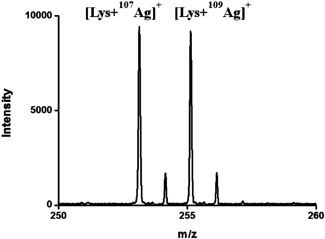 Matrix, preparation method thereof and biological sample testing method