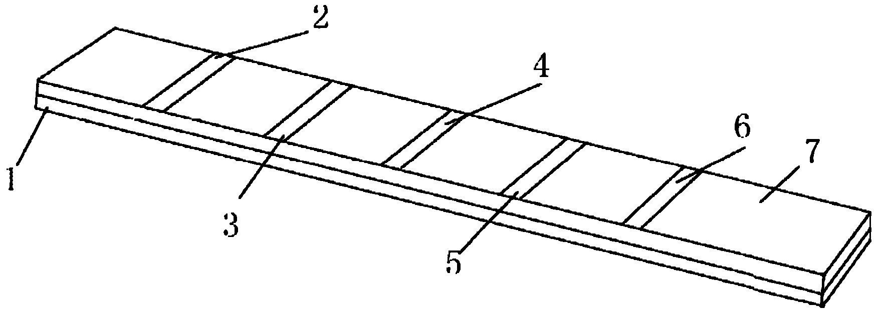 Toxoplasma IgM antibody immunoblotting kit and preparation method thereof