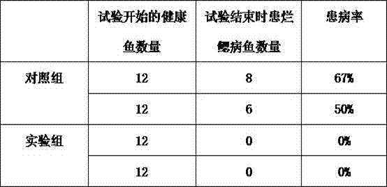 Traditional Chinese medicine composition for treating gill rote disease of fish