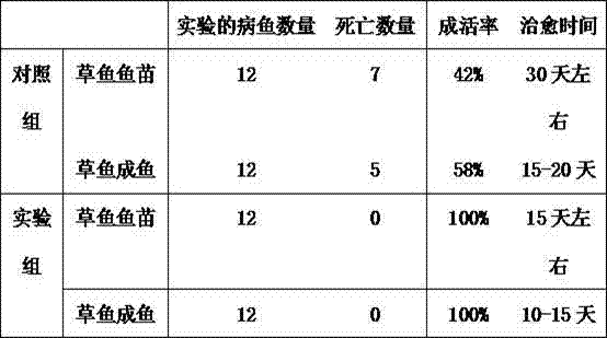 Traditional Chinese medicine composition for treating gill rote disease of fish