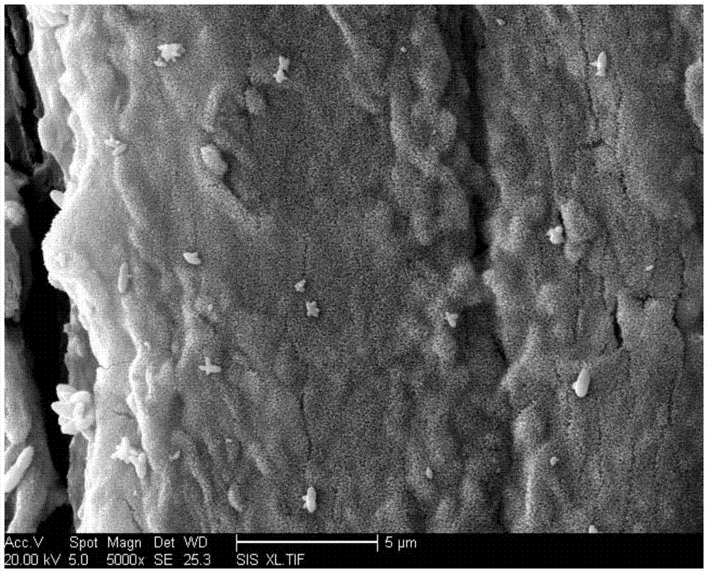 Microwave hydro-thermal synthesis method of zinc oxide nanostructure modified timber