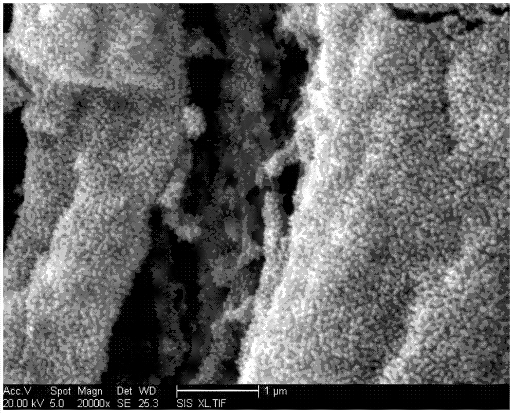 Microwave hydro-thermal synthesis method of zinc oxide nanostructure modified timber