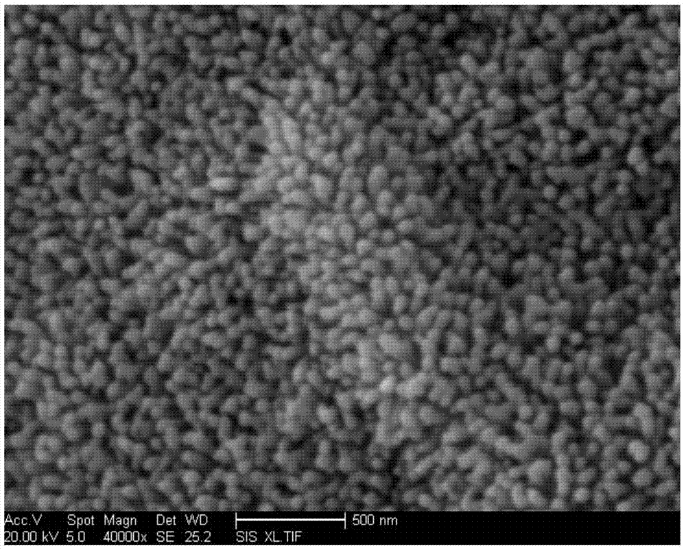 Microwave hydro-thermal synthesis method of zinc oxide nanostructure modified timber