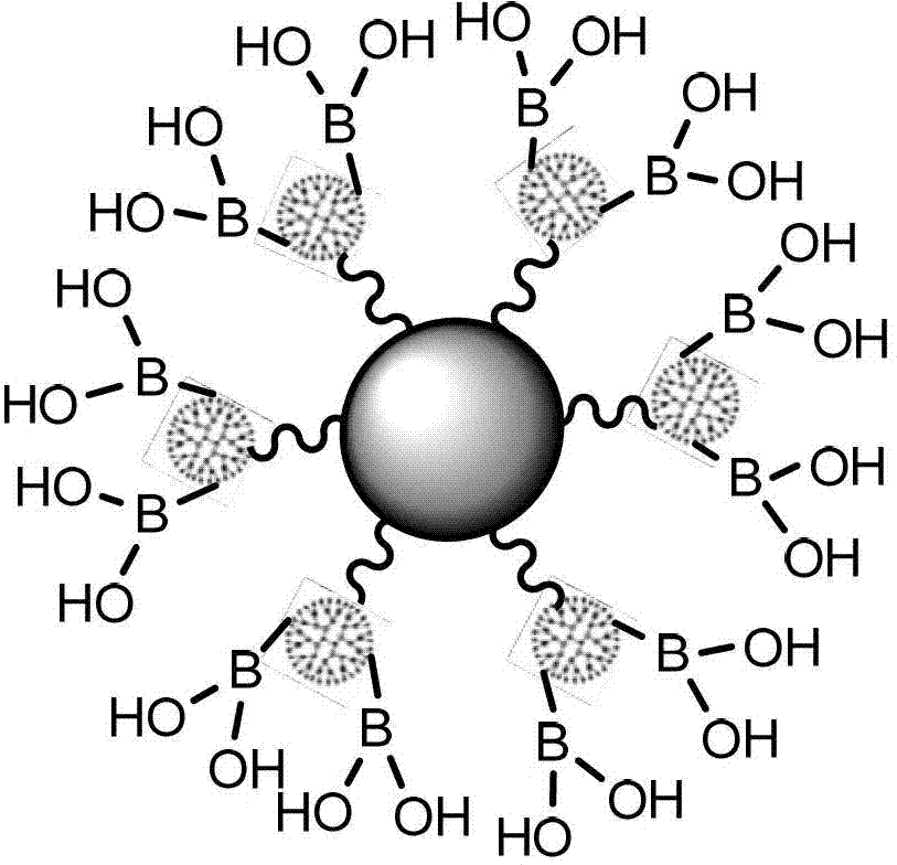 High-affinity dendritic boronic acid functionalized magnetic microspheres and its preparation method and application