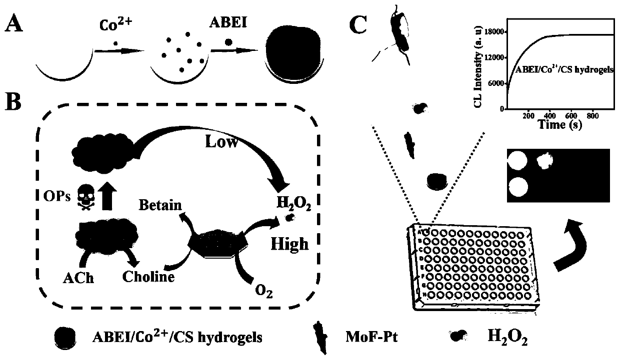 Glow-type chemiluminescence sensor constructed based on hydrogel and preparation method and application thereof