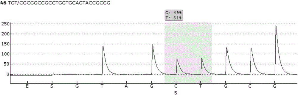 Pyrosequencing primer pair for qualitatively detecting ApoE genetic typing and kit