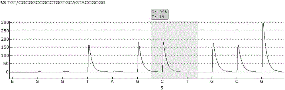 Pyrosequencing primer pair for qualitatively detecting ApoE genetic typing and kit