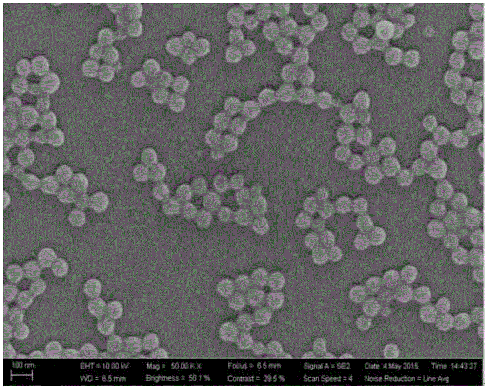 A preparation method of binary copolymerized fluorescent microsphere emulsion for measuring dissolved oxygen concentration