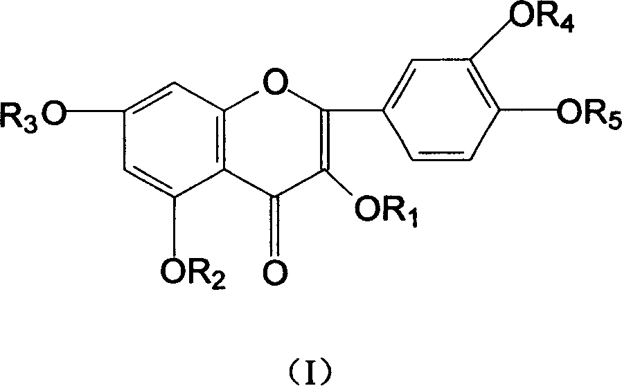 Hydroxy propyl rutin derivatives and preparation process thereof