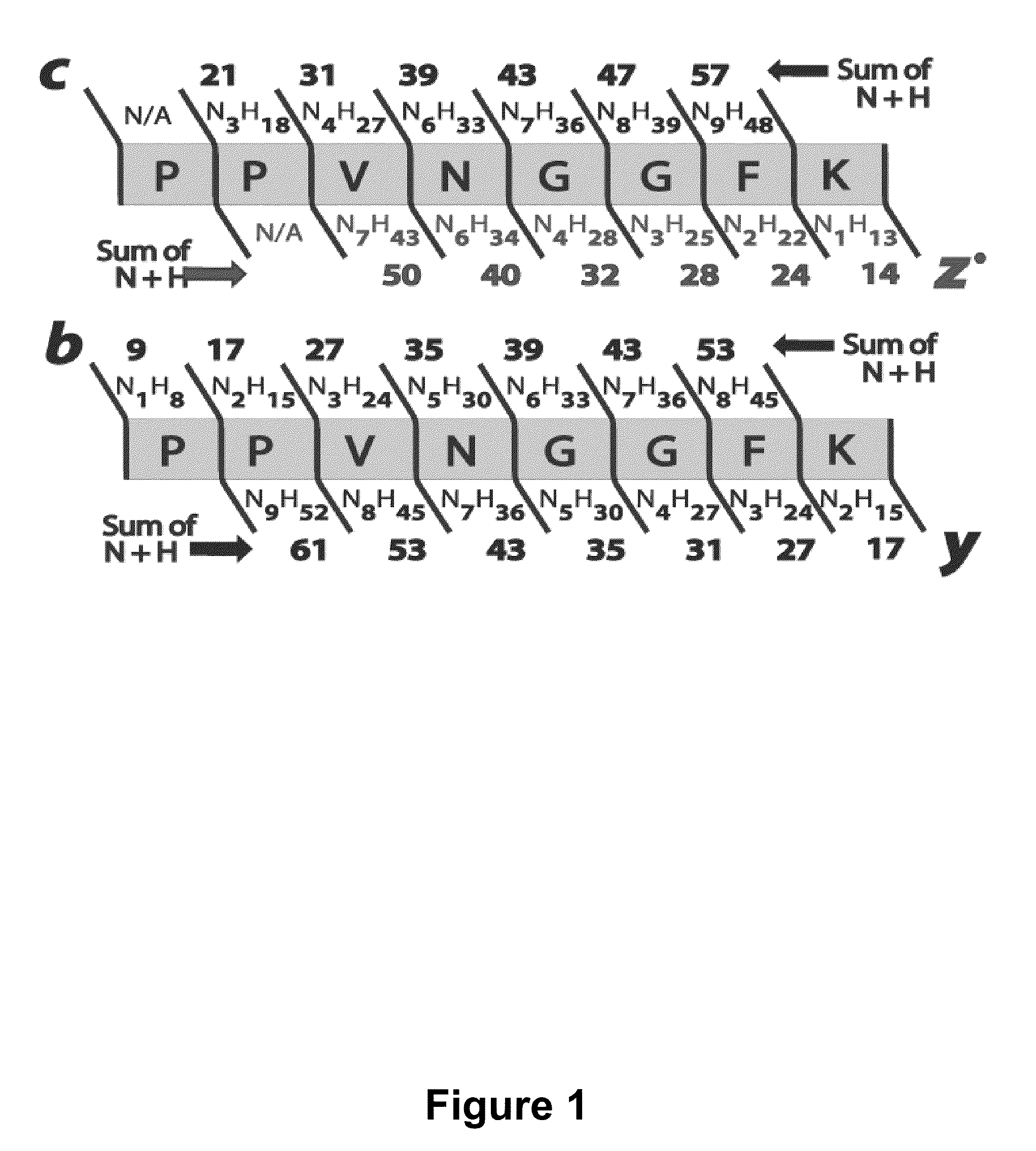 Methods for processing tandem mass spectral data for protein sequence analysis