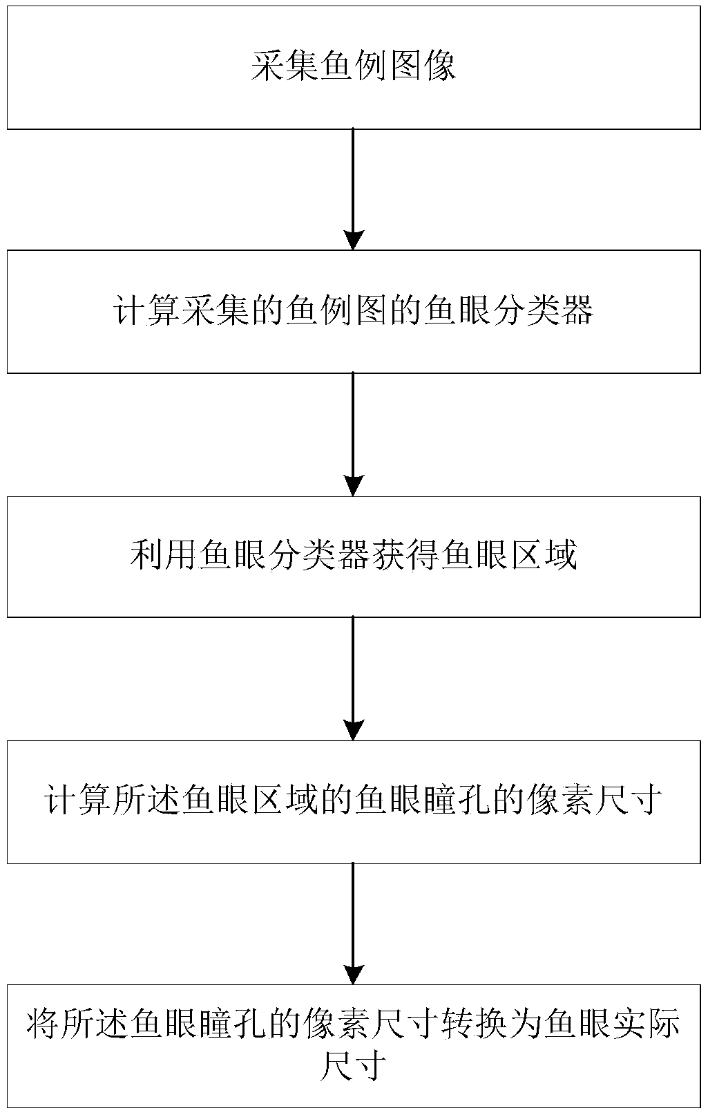 Fisheye pupil intelligent measurement method based on machine learning