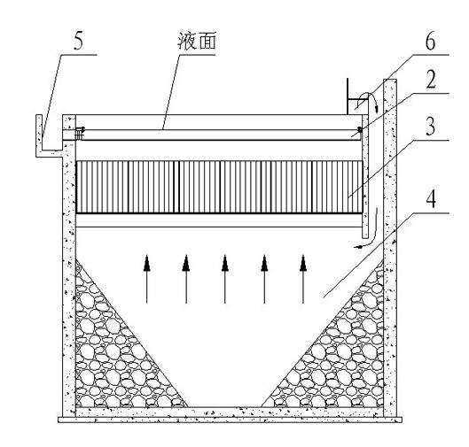 Flotation feed desliming pool