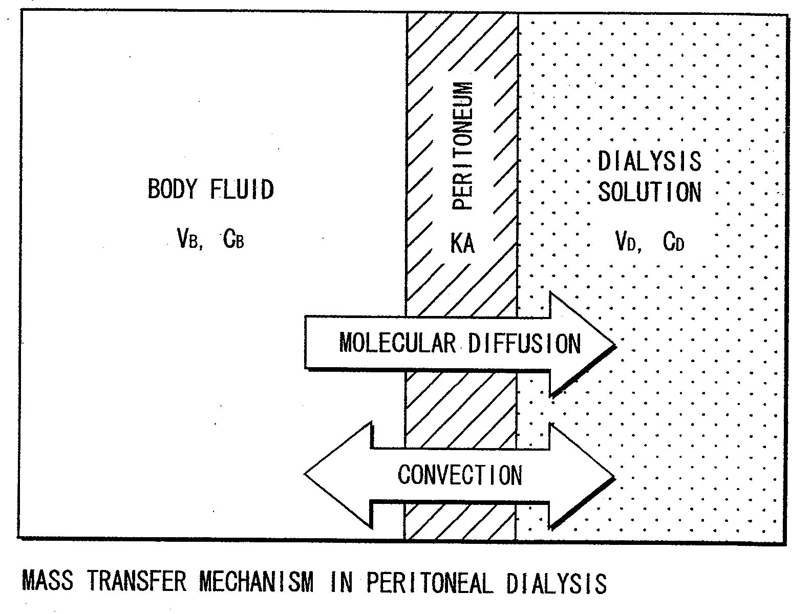 Method for testing peritoneum function and a peritoneal dialysis planning apparatus