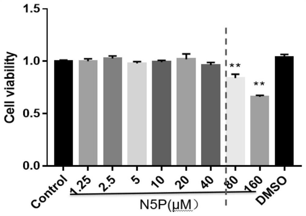 Novel application of N-(2-phenylethyl)-5-phenyl-pyridine-2-formamide and medicine thereof