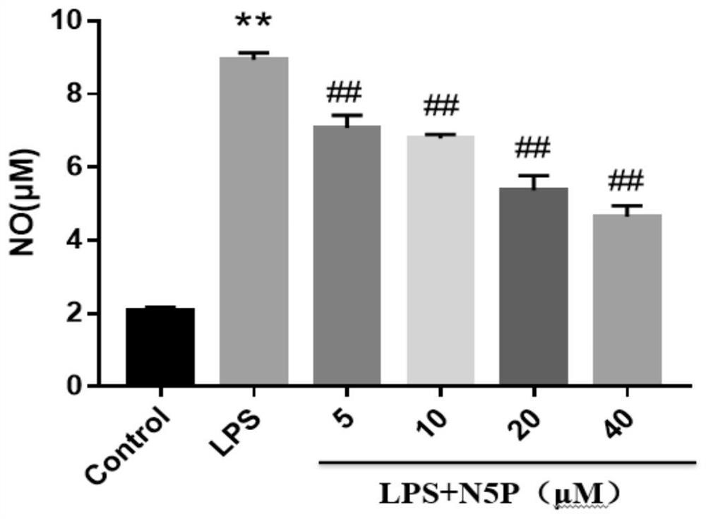 Novel application of N-(2-phenylethyl)-5-phenyl-pyridine-2-formamide and medicine thereof