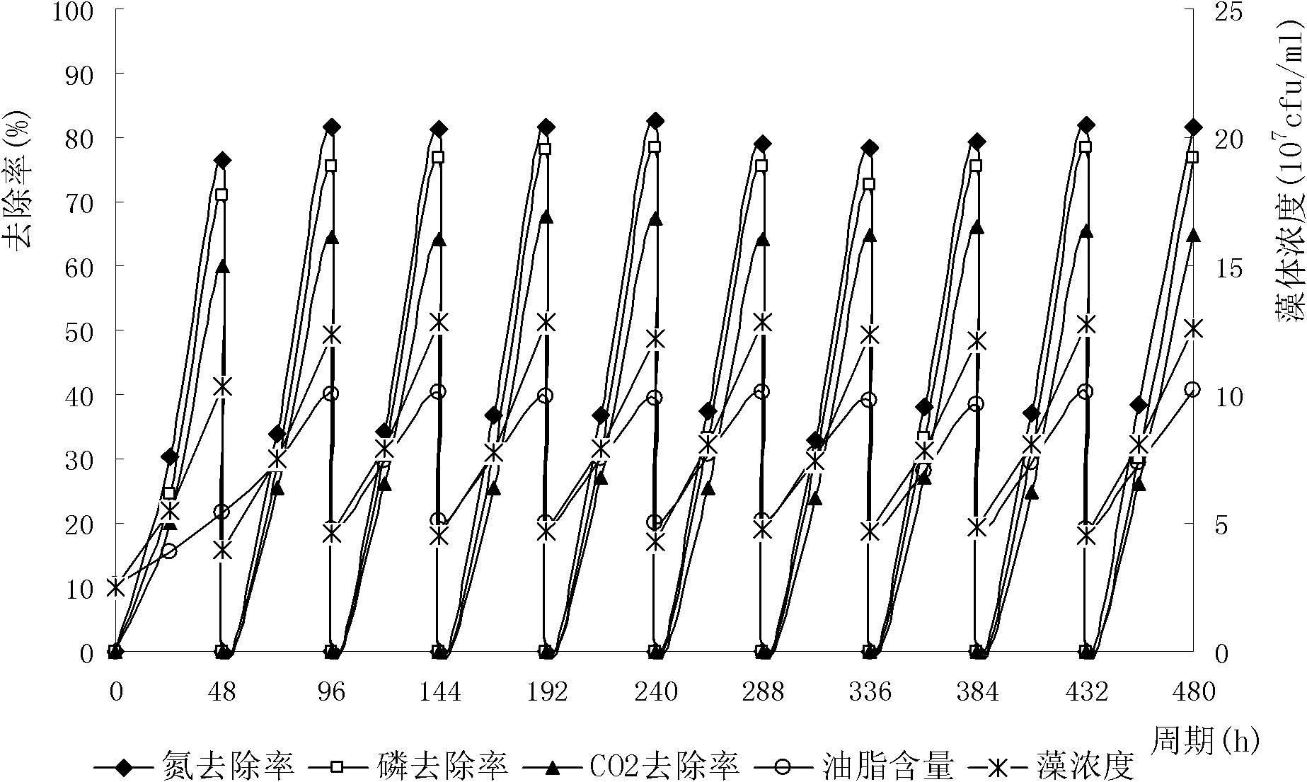 High-density culture process of autotrophic oil-producing microalgae